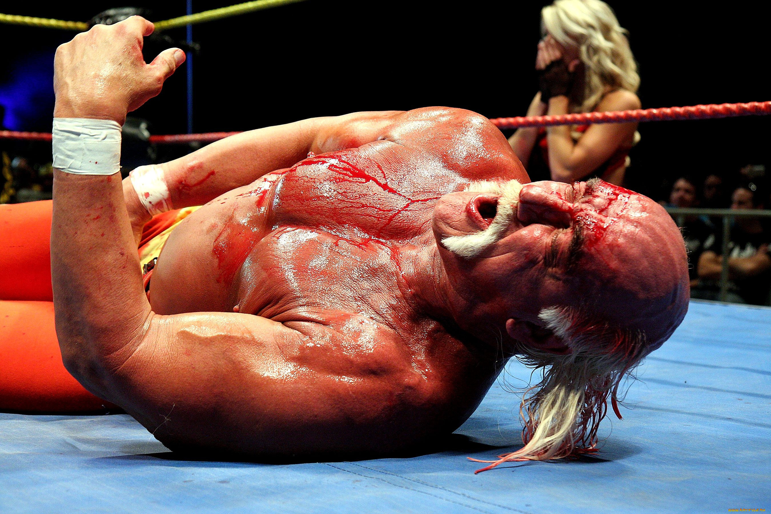 , hulk, hogan, 